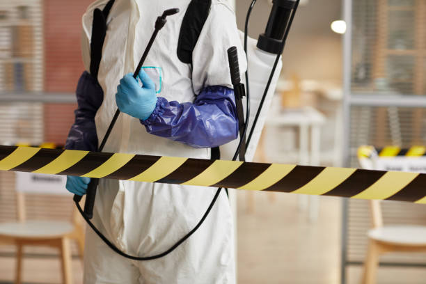 Professional Sewage Cleanup technician working in Mount Arlington, NJ
